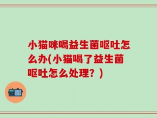 小猫咪喝益生菌呕吐怎么办(小猫喝了益生菌呕吐怎么处理？)