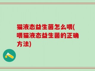 猫液态益生菌怎么喂(喂猫液态益生菌的正确方法)