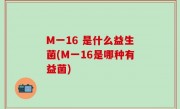 M一16 是什么益生菌(M一16是哪种有益菌)