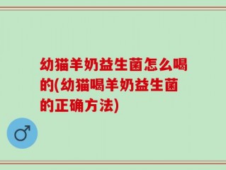 幼猫羊奶益生菌怎么喝的(幼猫喝羊奶益生菌的正确方法)