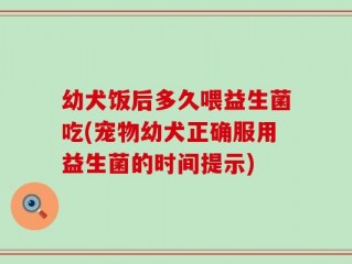 幼犬饭后多久喂益生菌吃(宠物幼犬正确服用益生菌的时间提示)