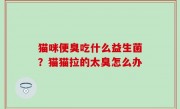 猫咪便臭吃什么益生菌？猫猫拉的太臭怎么办