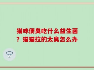 猫咪便臭吃什么益生菌？猫猫拉的太臭怎么办