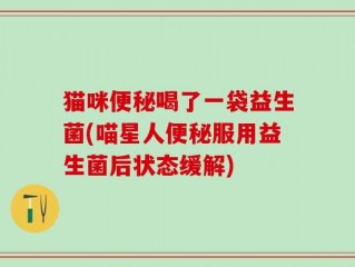 猫咪便秘喝了一袋益生菌(喵星人便秘服用益生菌后状态缓解)