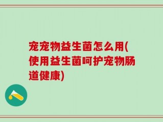 宠宠物益生菌怎么用(使用益生菌呵护宠物肠道健康)