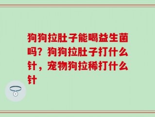 狗狗拉肚子能喝益生菌吗？狗狗拉肚子打什么针，宠物狗拉稀打什么针