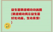 益生菌肠道蠕动动画图(肠道蠕动揭示益生菌好处动画，生动易懂！)