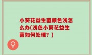 小葵花益生菌颜色浅怎么办(浅色小葵花益生菌如何处理？)