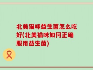 北美猫咪益生菌怎么吃好(北美猫咪如何正确服用益生菌)