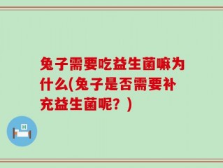 兔子需要吃益生菌嘛为什么(兔子是否需要补充益生菌呢？)