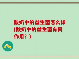 酸奶中的益生菌怎么样(酸奶中的益生菌有何作用？)
