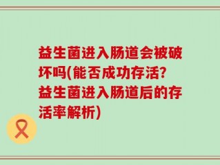 益生菌进入肠道会被破坏吗(能否成功存活？益生菌进入肠道后的存活率解析)
