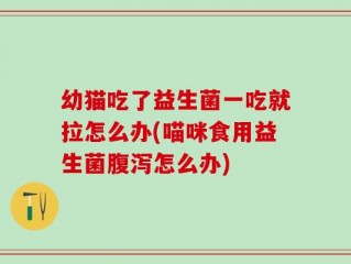 幼猫吃了益生菌一吃就拉怎么办(喵咪食用益生菌腹泻怎么办)