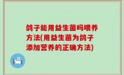 鸽子能用益生菌吗喂养方法(用益生菌为鸽子添加营养的正确方法)