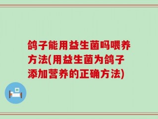 鸽子能用益生菌吗喂养方法(用益生菌为鸽子添加营养的正确方法)