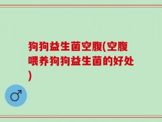 狗狗益生菌空腹(空腹喂养狗狗益生菌的好处)