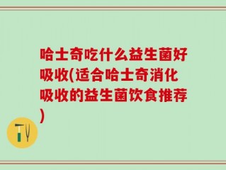 哈士奇吃什么益生菌好吸收(适合哈士奇消化吸收的益生菌饮食推荐)