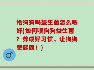 给狗狗喝益生菌怎么喂好(如何喂狗狗益生菌？养成好习惯，让狗狗更健康！)