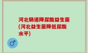 河北肠道降尿酸益生菌(河北益生菌降低尿酸水平)