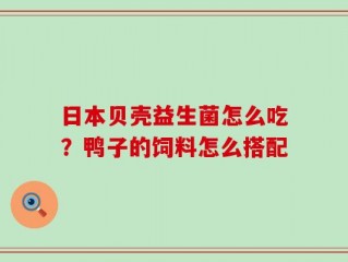 日本贝壳益生菌怎么吃？鸭子的饲料怎么搭配