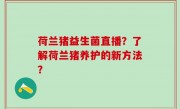 荷兰猪益生菌直播？了解荷兰猪养护的新方法？