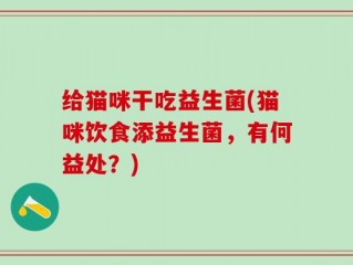 给猫咪干吃益生菌(猫咪饮食添益生菌，有何益处？)