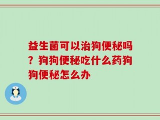 益生菌可以治狗便秘吗？狗狗便秘吃什么药狗狗便秘怎么办