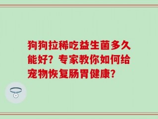 狗狗拉稀吃益生菌多久能好？专家教你如何给宠物恢复肠胃健康？