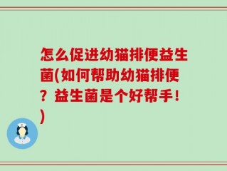 怎么促进幼猫排便益生菌(如何帮助幼猫排便？益生菌是个好帮手！)