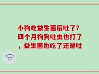 小狗吃益生菌后吐了？四个月狗狗吐虫也打了，益生菌也吃了还是吐