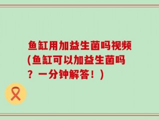 鱼缸用加益生菌吗视频(鱼缸可以加益生菌吗？一分钟解答！)