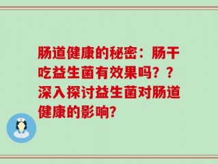 肠道健康的秘密：肠干吃益生菌有效果吗？？深入探讨益生菌对肠道健康的影响？