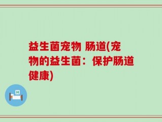 益生菌宠物 肠道(宠物的益生菌：保护肠道健康)