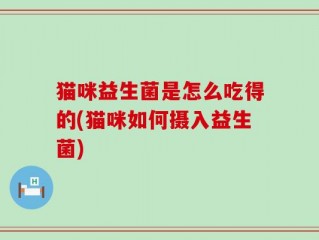 猫咪益生菌是怎么吃得的(猫咪如何摄入益生菌)