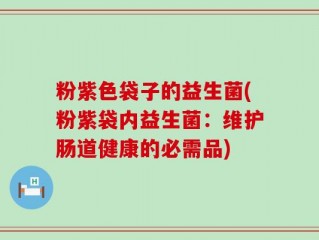 粉紫色袋子的益生菌(粉紫袋内益生菌：维护肠道健康的必需品)