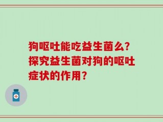 狗呕吐能吃益生菌么？探究益生菌对狗的呕吐症状的作用？