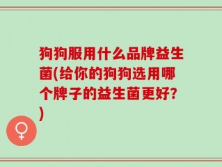 狗狗服用什么品牌益生菌(给你的狗狗选用哪个牌子的益生菌更好？)