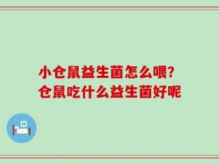 小仓鼠益生菌怎么喂？仓鼠吃什么益生菌好呢