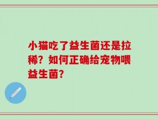 小猫吃了益生菌还是拉稀？如何正确给宠物喂益生菌？