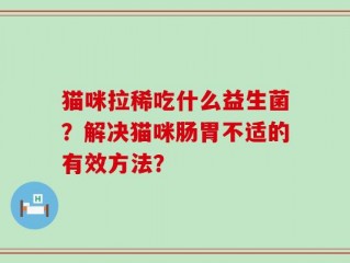 猫咪拉稀吃什么益生菌？解决猫咪肠胃不适的有效方法？