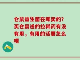 仓鼠益生菌在哪卖的？买仓鼠送的拉稀药有没有用，有用的话要怎么喂