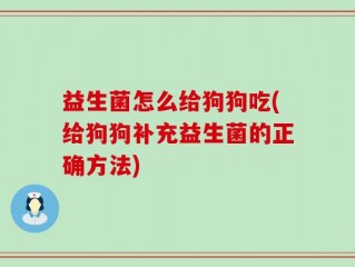 益生菌怎么给狗狗吃(给狗狗补充益生菌的正确方法)