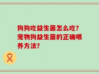 狗狗吃益生菌怎么吃？宠物狗益生菌的正确喂养方法？