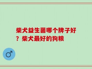 柴犬益生菌哪个牌子好？柴犬最好的狗粮