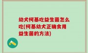 幼犬柯基吃益生菌怎么吃(柯基幼犬正确食用益生菌的方法)