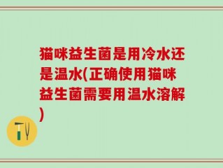 猫咪益生菌是用冷水还是温水(正确使用猫咪益生菌需要用温水溶解)