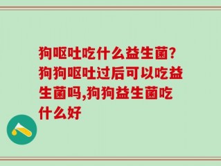 狗呕吐吃什么益生菌？狗狗呕吐过后可以吃益生菌吗,狗狗益生菌吃什么好