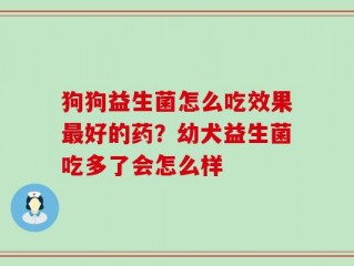 狗狗益生菌怎么吃效果最好的药？幼犬益生菌吃多了会怎么样