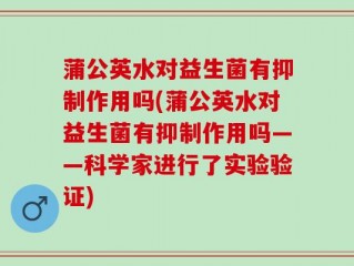 蒲公英水对益生菌有抑制作用吗(蒲公英水对益生菌有抑制作用吗——科学家进行了实验验证)