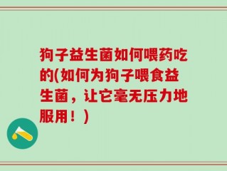 狗子益生菌如何喂药吃的(如何为狗子喂食益生菌，让它毫无压力地服用！)